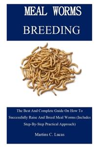 Meal Worm Breeding