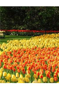 Tulips Notebook Large Size 8.5 x 11 Ruled 150 Pages Softcover For Home School Of