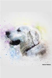 Retriever Notebook