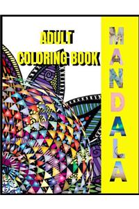 Adult Mandala Coloring Book