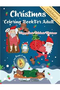 Christmas Coloring Book For Adult
