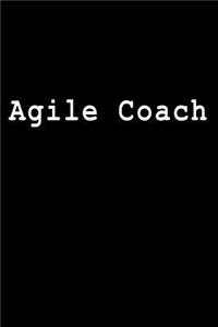 Agile Coach