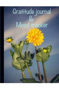 Gratitude Journal & Mood Tracker