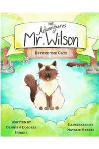 The Adventures of MR Wilson