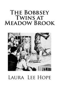 The Bobbsey Twins at Meadow Brook
