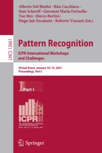 Pattern Recognition. Icpr International Workshops and Challenges