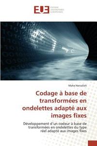 Codage à base de transformées en ondelettes adapté aux images fixes