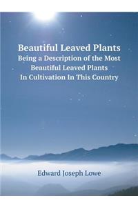 Beautiful Leaved Plants Being a Description of the Most Beautiful Leaved Plants in Cultivation in This Country