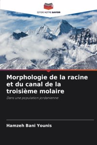Morphologie de la racine et du canal de la troisième molaire