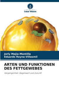 Arten Und Funktionen Des Fettgewebes