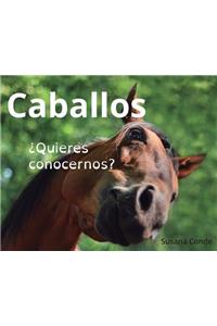 Caballos