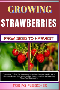 Growing Strawberries from Seed to Harvest