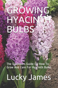 Growing Hyacinth Bulbs