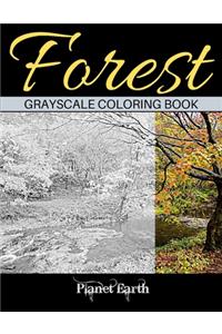 Forest Grayscale Coloring Book
