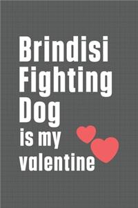 Brindisi Fighting Dog is my valentine