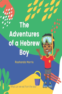 The Adventures of a Hebrew Boy