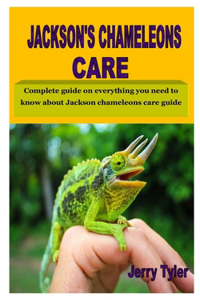 Jackson's Chameleons Care