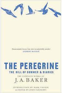 Peregrine