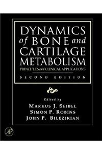 Dynamics of Bone and Cartilage Metabolism