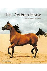 The Arabian Horse