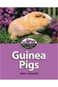Guinea Pigs
