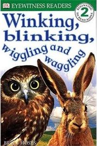 Winking Blinking