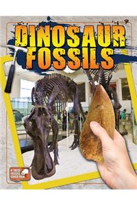 Dinosaur Fossils