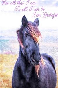 For All That I Am, To All I Can Be, I Am Grateful