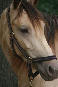 Horseback Rider Dot Grid Notebook