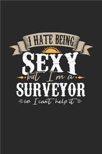 I Hate Being Sexy But I'm a Surveyor So I Can't Help It