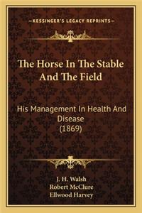 Horse In The Stable And The Field