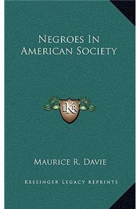Negroes in American Society