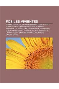 Fosiles Vivientes: Monoplacophora, Sequoiadendron, Fosil Viviente, Monotremata, Ginkgo Biloba, Onychophora, Wollemia, Crocodylidae, Metas