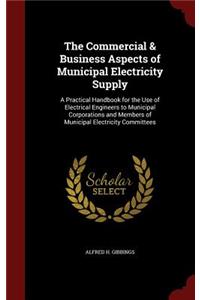 The Commercial & Business Aspects of Municipal Electricity Supply