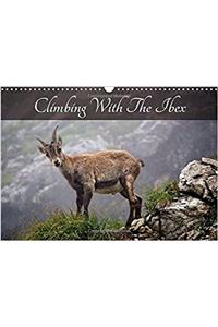 Climbing with the Ibex 2017