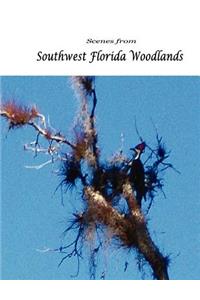 Scenes from Southwest Florida Woodlands