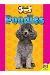 Poodles