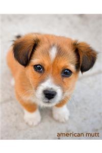 American Mutt