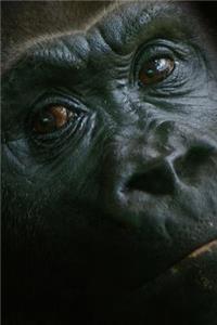 Look Into the Eyes of the Gorilla Journal: 150 Page Lined Notebook/Diary