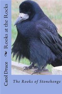 Rooks at the Rocks: - the Rooks of Stonehenge