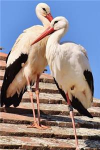 A Pair of Storks on the Roof Bird Journal