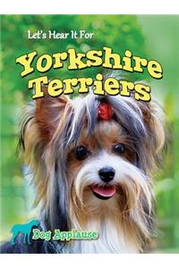 Let's Hear It for Yorkshire Terriers