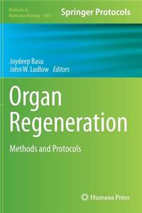 Organ Regeneration