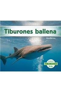 Tiburones Ballena (Whale Sharks)