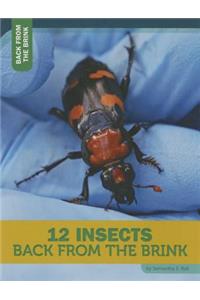 12 Insects Back from the Brink