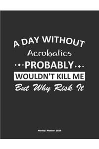 A Day Without Acrobatics Probably Wouldn't Kill Me But Why Risk It Weekly Planner 2020