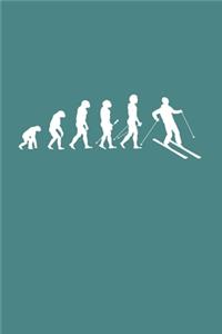 Evolution of Skier