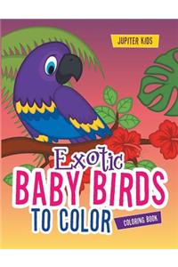 Exotic Baby Birds to Color Coloring Book