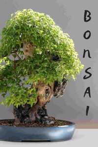 Bonsai