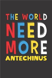 The World Need More Antechinus